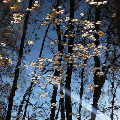 Late autumn