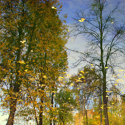 Autumn Pond