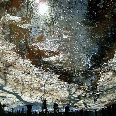 In the World of Melting