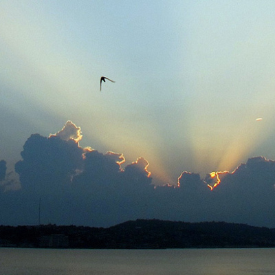 Freedom with Sunrise 