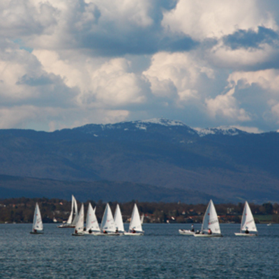 White Boats