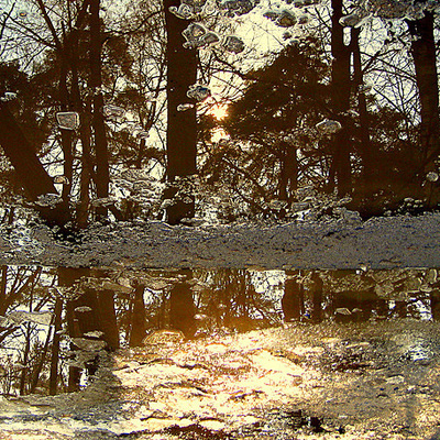 Winter View