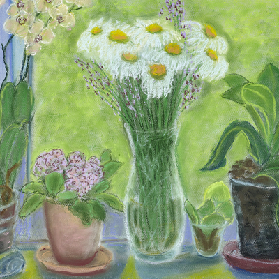 Spring by the window