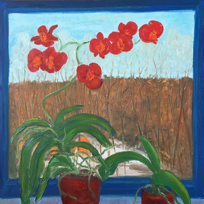 A view from window