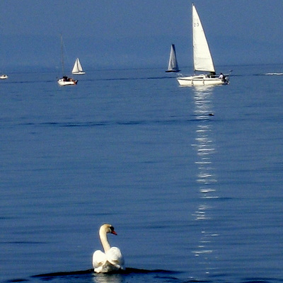 Blue Day